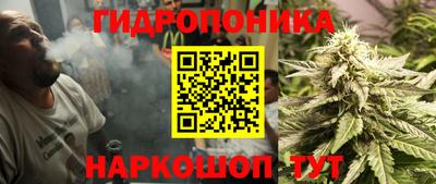крисы Кизилюрт
